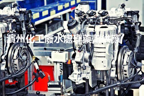 濱州化工廢水處理藥劑供應(yīng)商，解決化工廢水難題